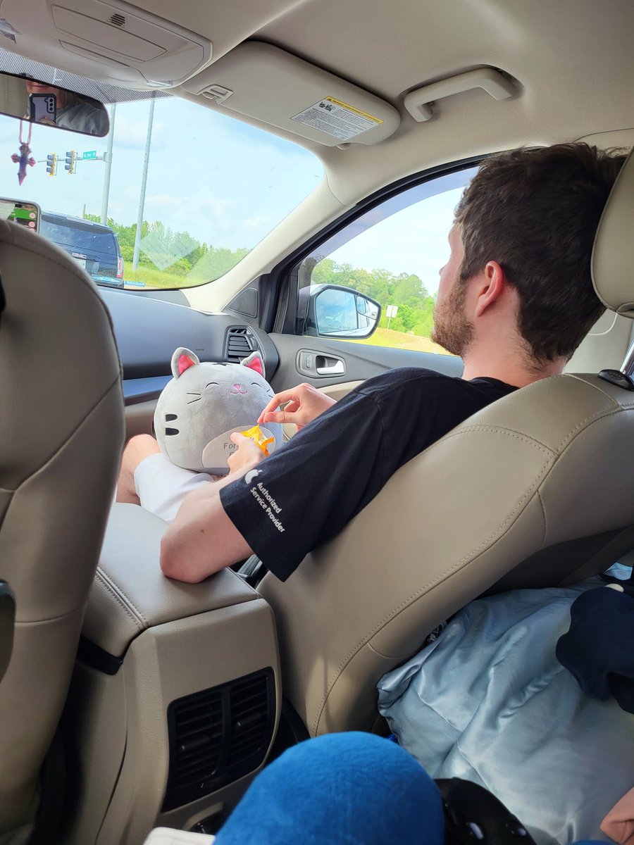 Myxprint's tweet photo. My brother stole my "emotional support cat" He even offered the cat an M&amp;M 🤣

I guess he needs it while mom is driving the first half of the trip home. Only seven more hours of driving. 💤 https://t.co/QVSZkIaPV4