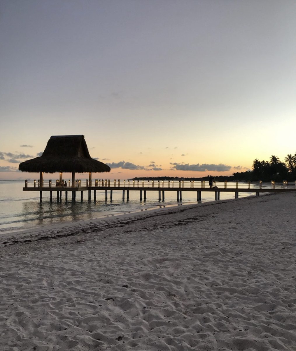 No better place to enjoy the sunset 🌅 

#PuntacanaResort 
#ThursdayMood

📸Reposted from <a href="/cloe/">Cloe</a>.kal