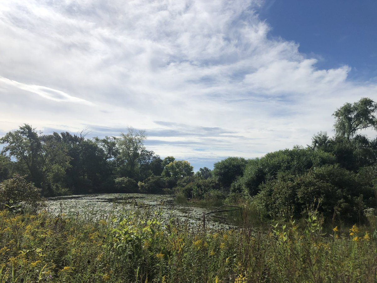 LaurenceWHolmes's tweet image. Just the worst…