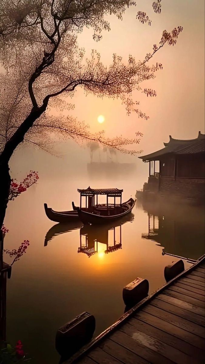 LizCollins44490's tweet photo. Sweet dreams!! 🧡💛✨ https://t.co/6bCla2dkh3