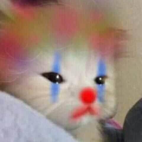 midimustdie's tweet photo. Fui explicar um negócio pra nath na moralzinha e ela mandou eu ir me tratar https://t.co/JqbLmcF4Vt