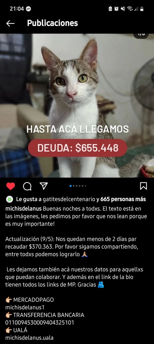 macakorsager's tweet photo. @fabipa90 No le donen a Maratea, donen a los refugios que están endeudadisimos, si van a gastar que sea en algo coherente por favoooor https://t.co/2LX0iYITfe