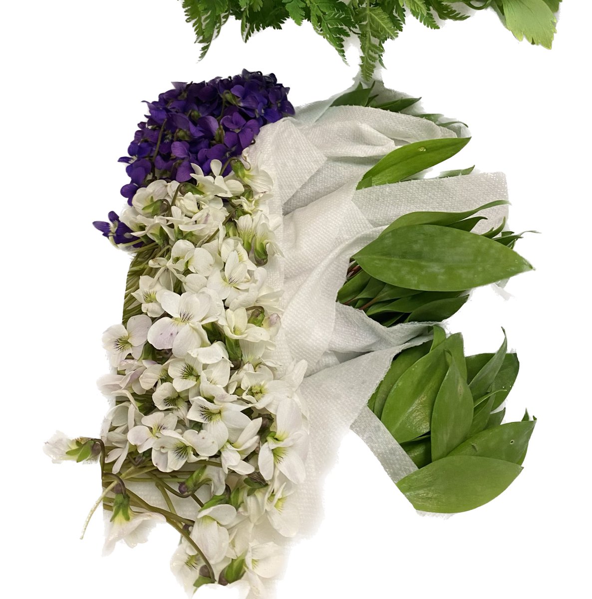 Le printemps est vraiment arrivé ! Cueillette de Diane :
Violettes sauvages et feuilles d’érythrone <a href="/signe/">Signe Brewster</a>