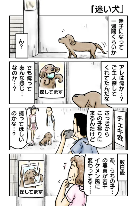迷い犬
#漫画が読めるハッシュタグ #創作漫画 #4コマ漫画 
