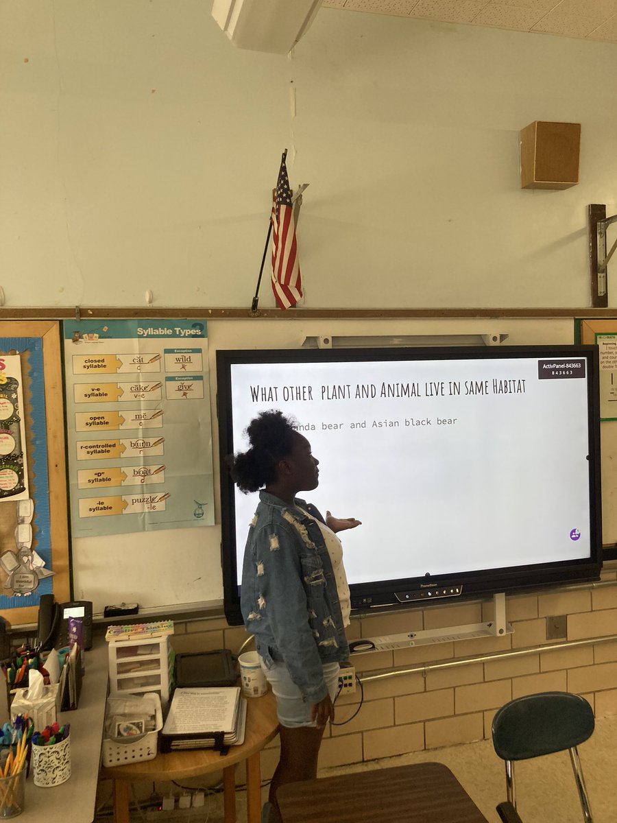 MrsHillGMA's tweet photo. Summer is right around the corner but that doesn’t stop us from working hard in room 210! Students completed an end of the year project that consisted of them picking an animal to research and then creating a presentation to share with their class! I am so proud of this bunch! 💚 https://t.co/6plUfjS5TO
