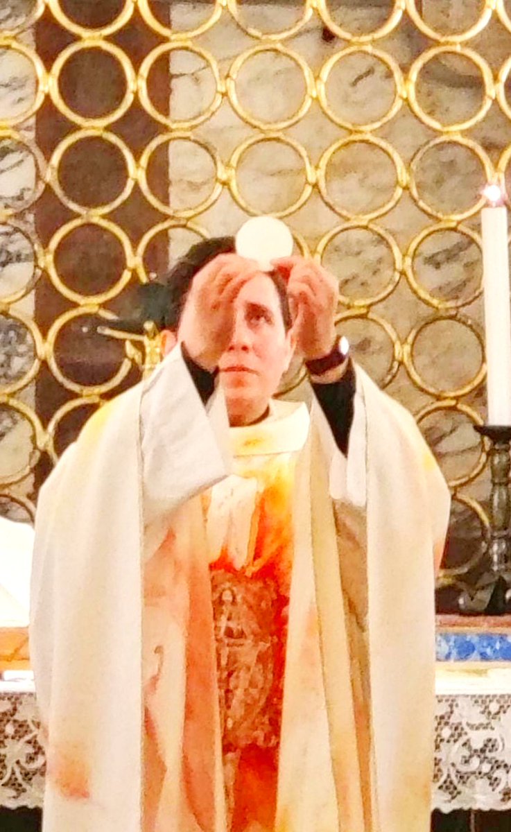 Fui ordenado sacerdote el pasado Abril 29.

Celebré mi primera Misa junto a la tumba del apóstol San Pedro, en la Capilla Clementina, bajo el altar de la Basílica en el Vaticano.
Para renovar mi amor por la Iglesia y mi fidelidad al Papa y su magisterio.

Ubi Petrus ibi Ecclesia