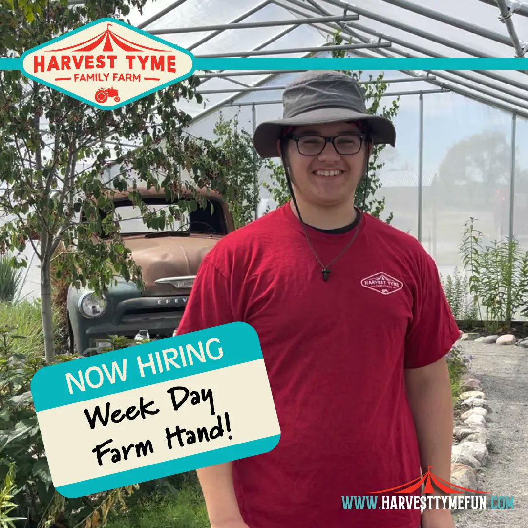 HarvestTymeFun's tweet photo. We are looking for a weekday farm hand, starting at $18 per hour!
Full-time seasonal position available 40+/- hours per week May – December. 
*Must be able to lift a minimum of 50 pounds and comfortable with a fast-paced environment. https://t.co/CtJSEIyRnC 
#HarvestTyme #Hiring https://t.co/79Pipeu1Wd