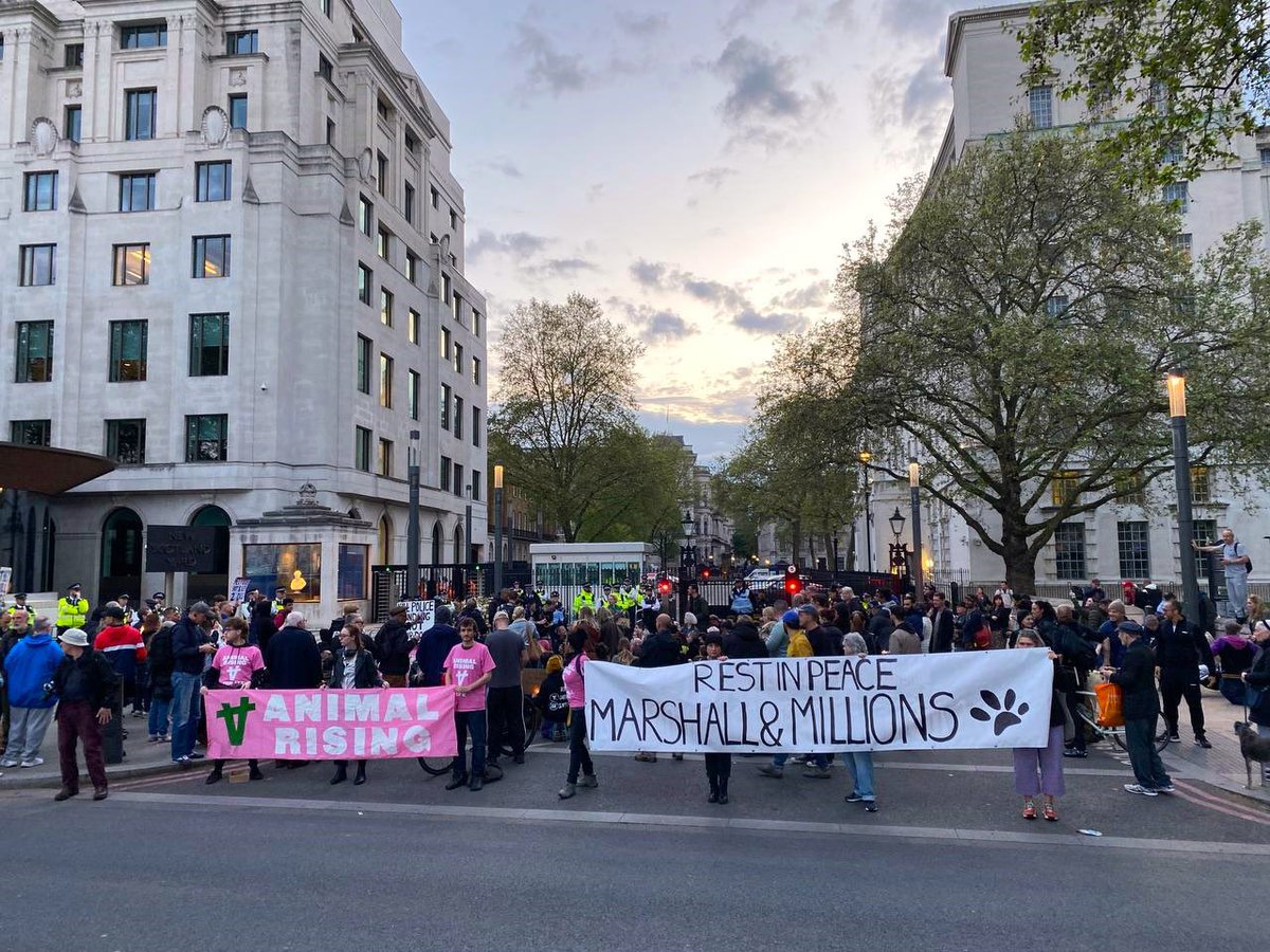 dominic dyer tweet media