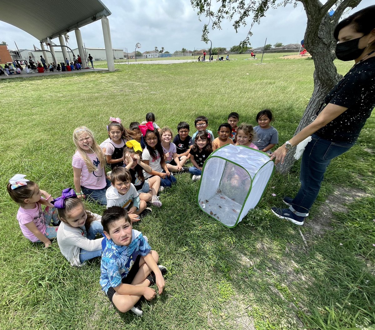 sagabbert's tweet photo. Our butterfly release! The kids loved watching the life cycle from caterpillars to release day 🐛🦋
#DawsonShines #mylittleducksarethebest #CCISDproud @KimEllis23 @CcisdPreK https://t.co/ZiQENa3Ejt