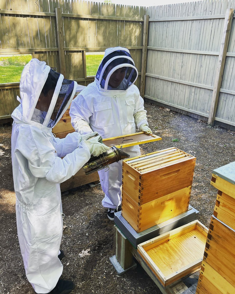 PV_Beekeeping's tweet image. Beautiful day to be out in the yard 🐝
.
.
.
.

#beekeeping #studentlearning #pollinators
