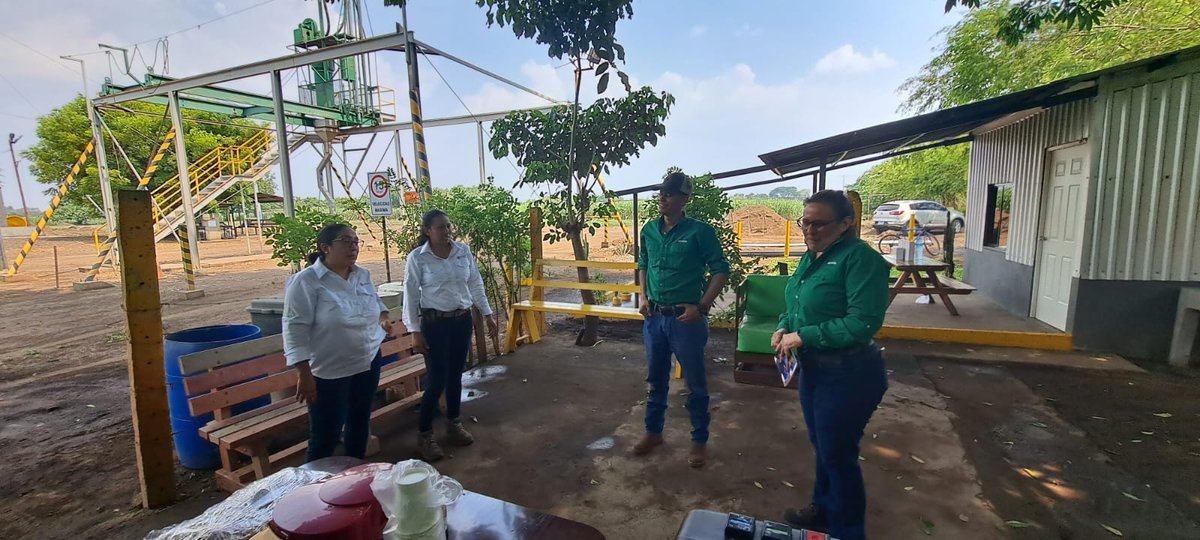 MarenaNicaragua's tweet image. En el municipio de Posoltega, Chinandega, #MARENA realizó visita de seguimiento al vivero de la empresa #COMASA, el cual cuenta con 40 mil plantas forestales de las especies de Madero negro, Madroño, Mandagual, Cedro Real, Eucalipto y Guanacaste negro. 

#Nicaragua