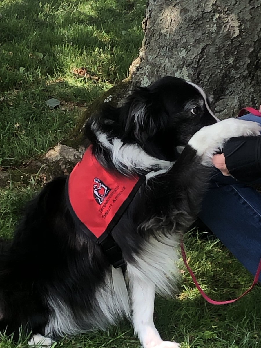 Mark Berkowitz tweet media