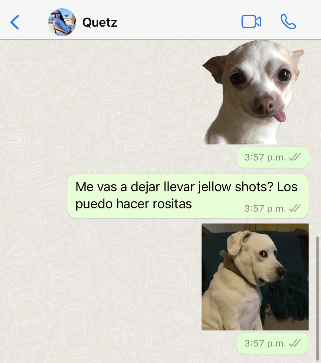 Lea3231's tweet photo. Seré la madrina del año, serían yo pidiéndole a su mejor amiga que deje convertir en borrachera el bautizo 😂 https://t.co/Yo4I9kQwiV