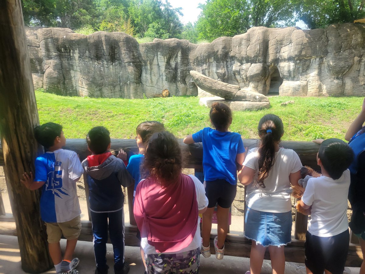 Mrs. Brown's Class tweet media