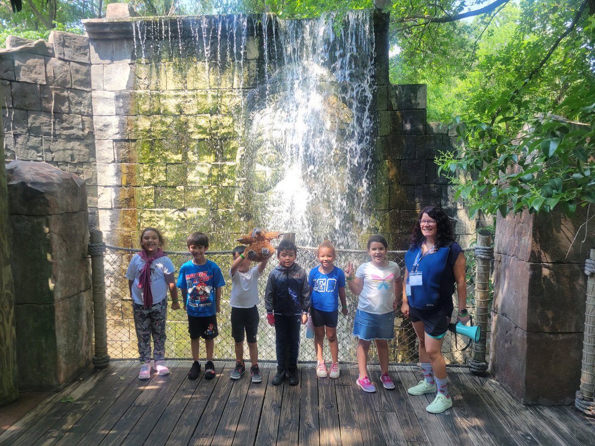 Mrs. Brown's Class tweet media