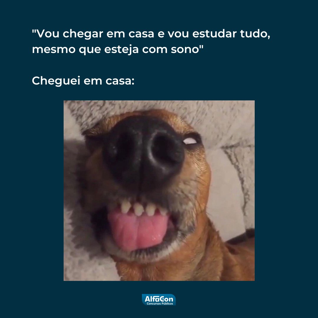 alfaconcursosof's tweet image. Hmmmmmm soninhooooooooo, vou deitar só um pouquinho e ja vou estudar...
.
.
.
#meme #estudos #estudar #alfacon #alfaconcursos #concursospublicos