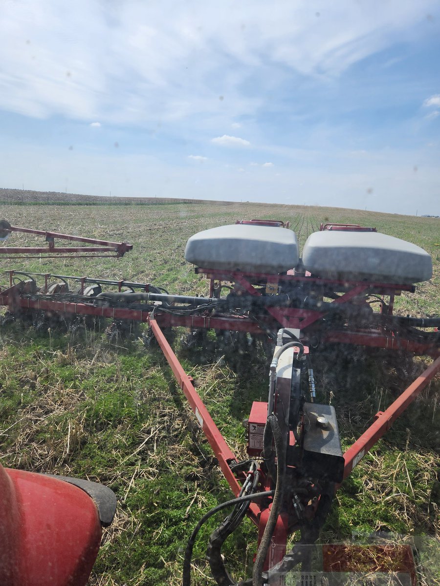 LarryCowing's tweet image. planting corn before the rain