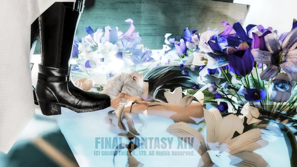 tm10266006's tweet photo. #LS_snowdrop
#1Dff14_studio https://t.co/6ZAHdf7zGN