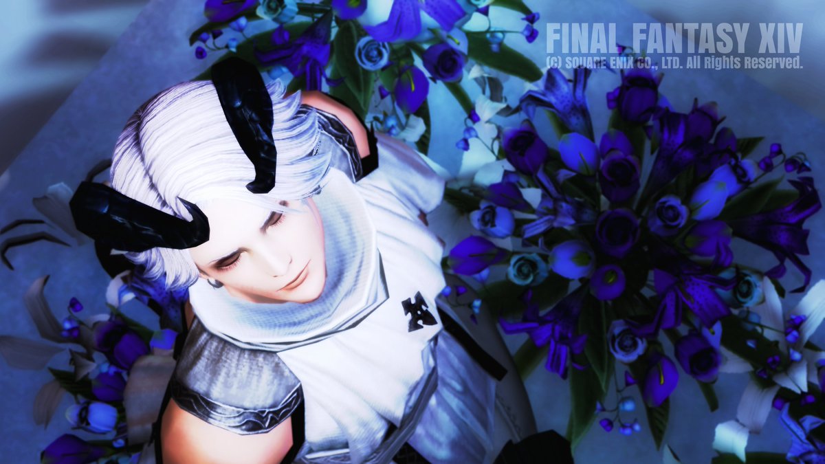 tm10266006's tweet photo. #LS_snowdrop
#1Dff14_studio https://t.co/6ZAHdf7zGN