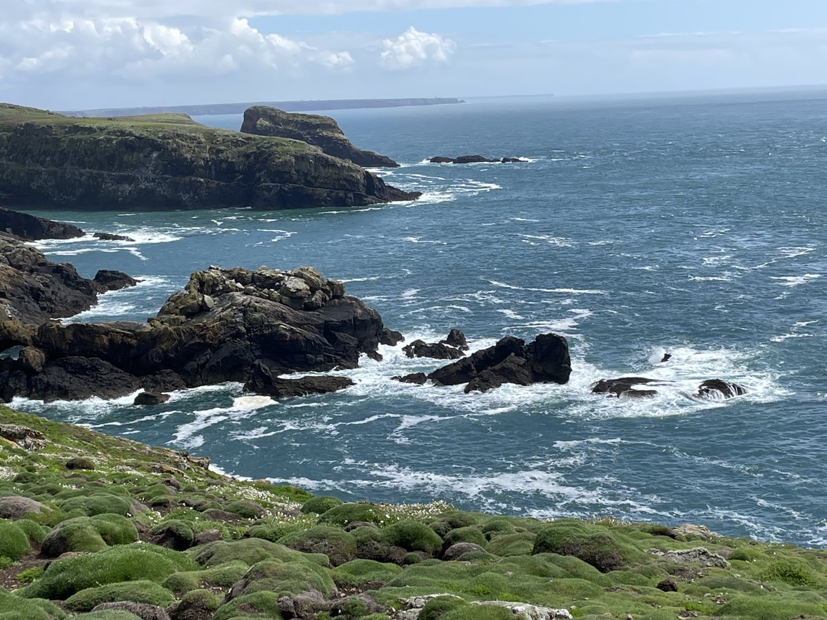 Year 5 have topped off their Welsh adventure with a visit to <a href="/skomer_island/">Skomer Island</a> Island today! The bluebells were breathtaking and the 44,000 puffins were absolutely spectacular!