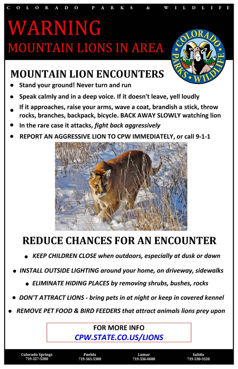 CPW officers in Chaffee County euthanized a young mountain lion after it swatted a girl in the face, puncturing her cheek. CPW believes the lion swatted the girl when she opened a family hen house where the sub-adult lion was hiding inside. 
cpw.state.co.us/aboutus/Pages/…