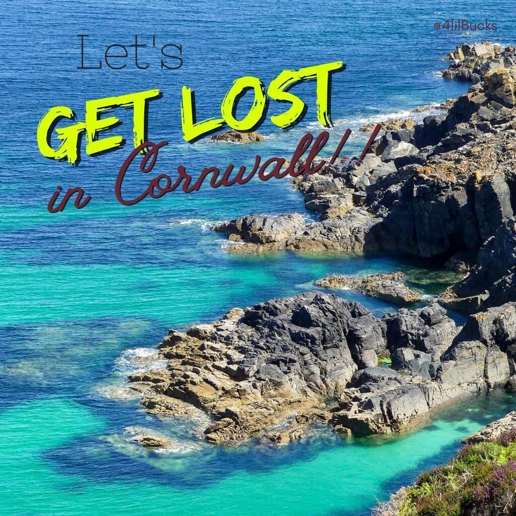 David & Sherry tweet media