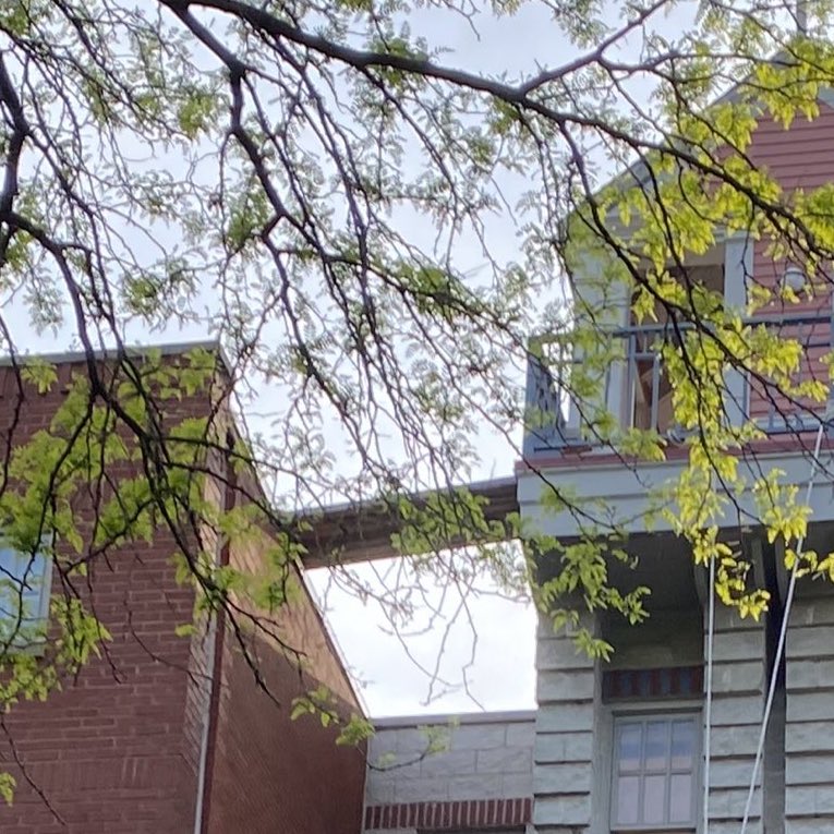 emily north tweet media