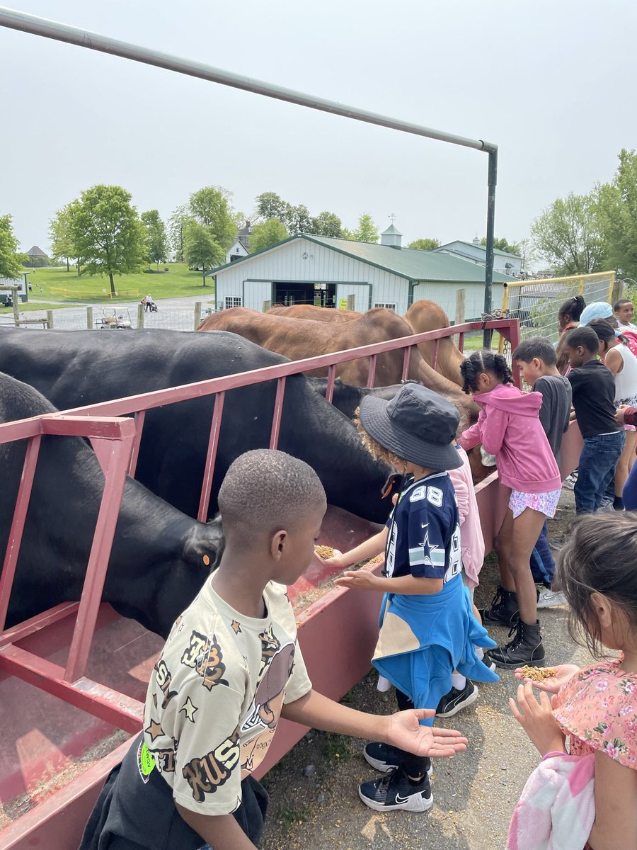csl_msmax's tweet image. Our 2nd graders shared their day with some fury friends at Green Meadows Petting Farm 😊@paulasummersed @MCPSCommunitySc @GburgES_ASA