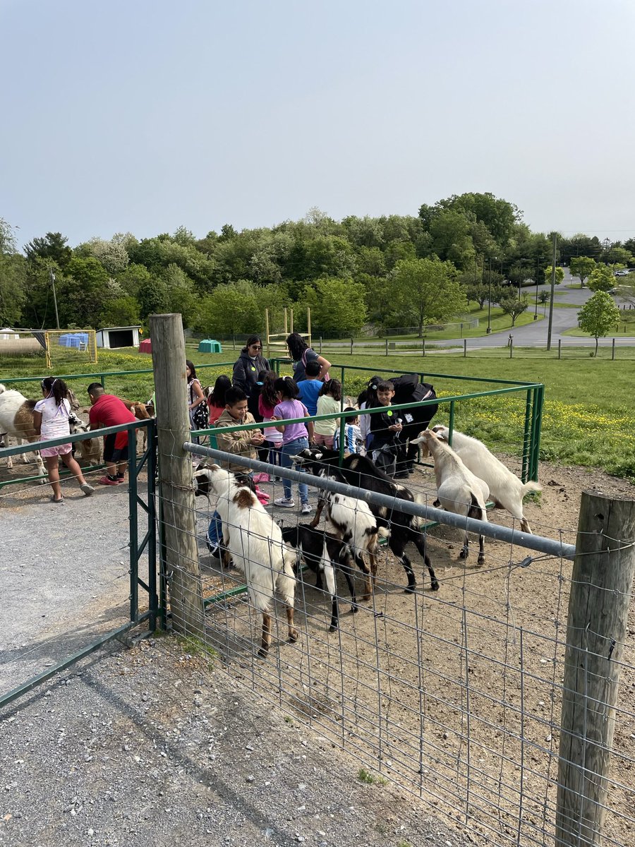 Kristina Max (@csl_msmax) on Twitter photo Our 2nd graders shared their day with some fury friends at Green Meadows Petting Farm 😊<a href="/paulasummersed/">Paula Summers</a> @MCPSCommunitySc <a href="/GburgES_ASA/">Mindy Elias</a> Our 2nd graders shared their day with some fury friends at Green Meadows Petting Farm 😊<a href="/paulasummersed/">Paula Summers</a> @MCPSCommunitySc <a href="/GburgES_ASA/">Mindy Elias</a>