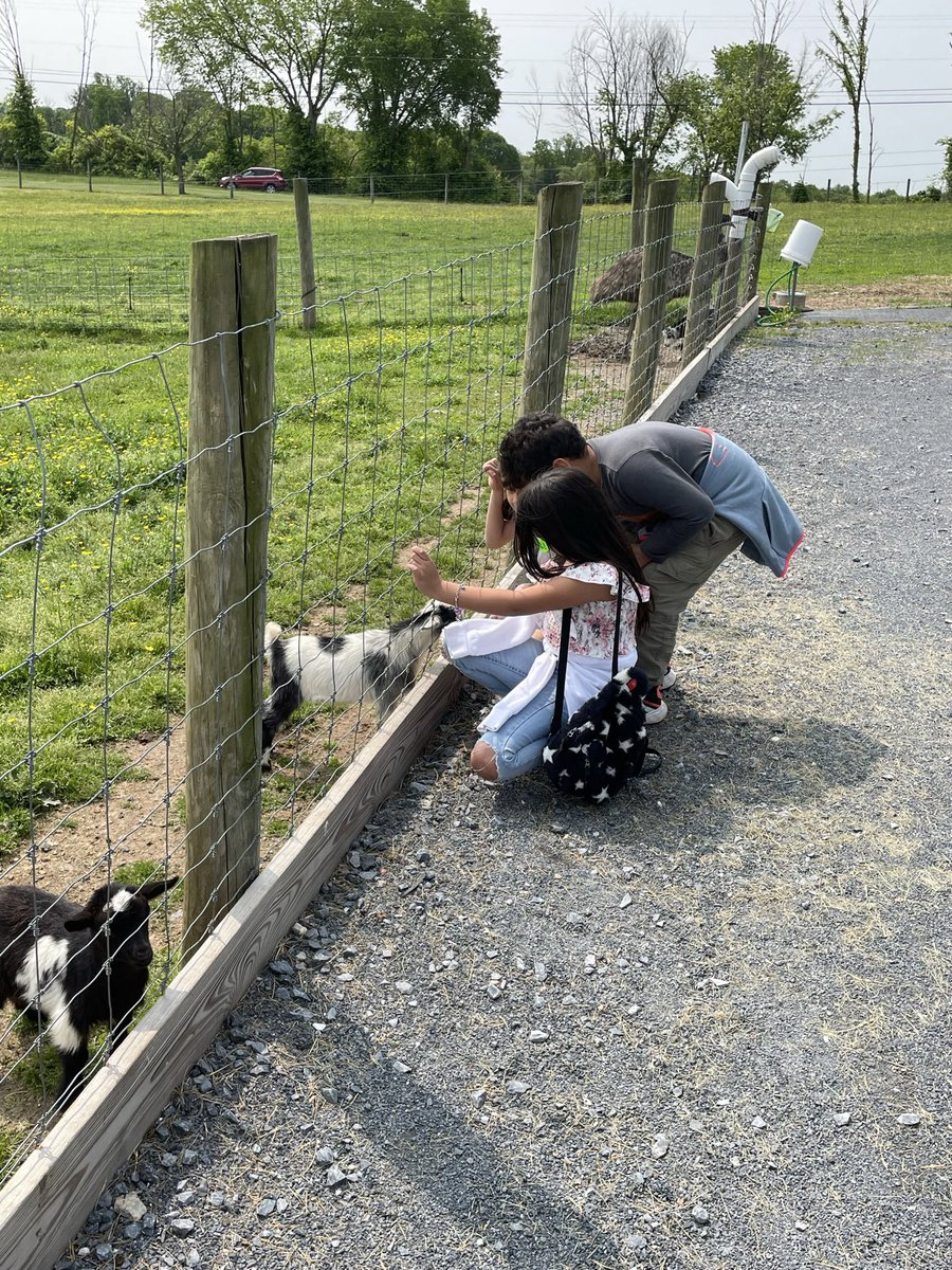 csl_msmax's tweet image. Our 2nd graders shared their day with some fury friends at Green Meadows Petting Farm 😊@paulasummersed @MCPSCommunitySc @GburgES_ASA
