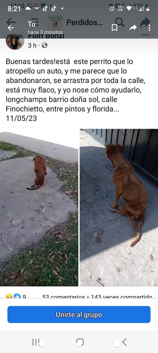 Quien esté cerca hable con los dueños