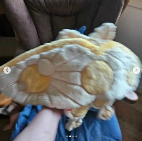 biliouris_amber's tweet image. I got some nice plush dolls  #fluffnest