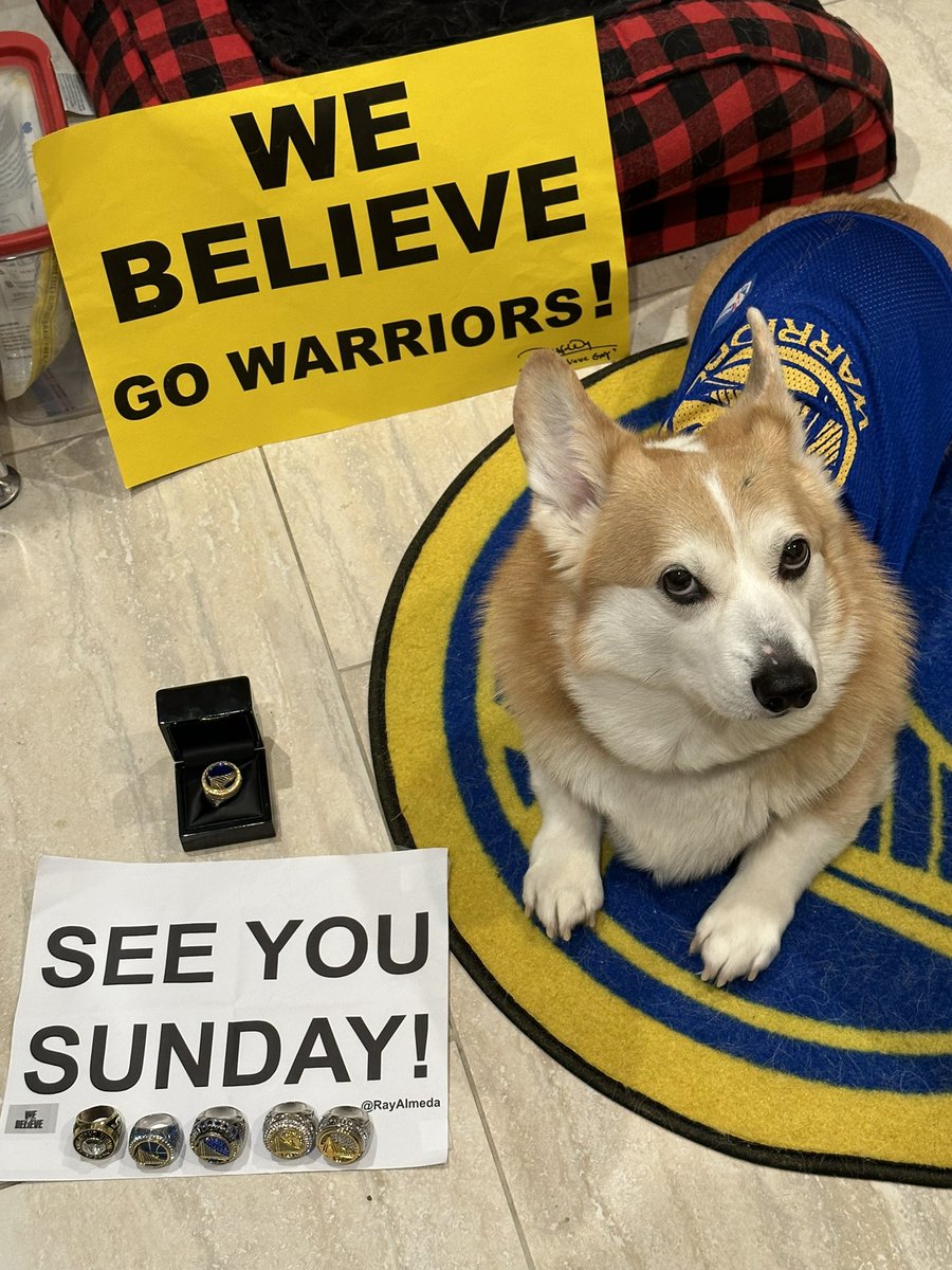 Trying to get clearance to bring this four-legged @Warriors Corgi to Thrive City for a potential Game 7. He’s already good at barking to the exact sound frequency of the Let’s Go Warriors cheer so it’d be awesome to have him lead a chant <a href="/francofinn/">Franco Finn</a>. Help me get him there and