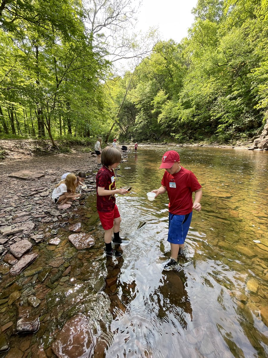 Alison Navarrete tweet media