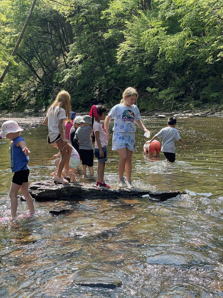 Alison Navarrete tweet media