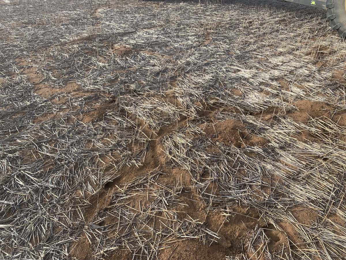 Dal Waters tweet media