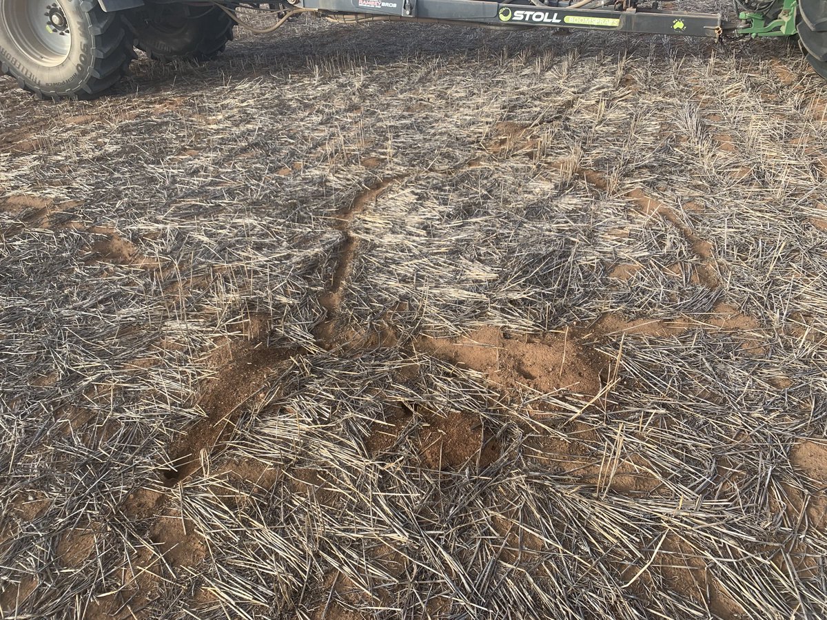 Dal Waters tweet media