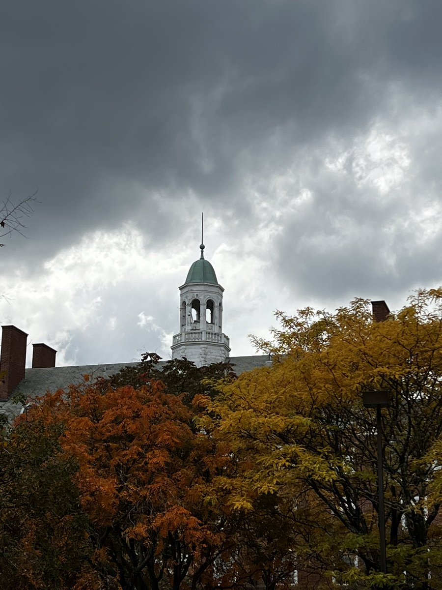 MegVmc's tweet photo. I’ll think I’ll miss taking pics of this beautiful campus the most 🥲 https://t.co/eiXyTuStCW