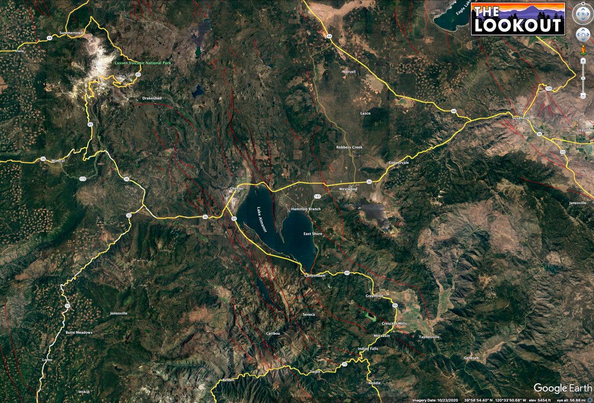 Zeke Lunder ~ The Lookout tweet media