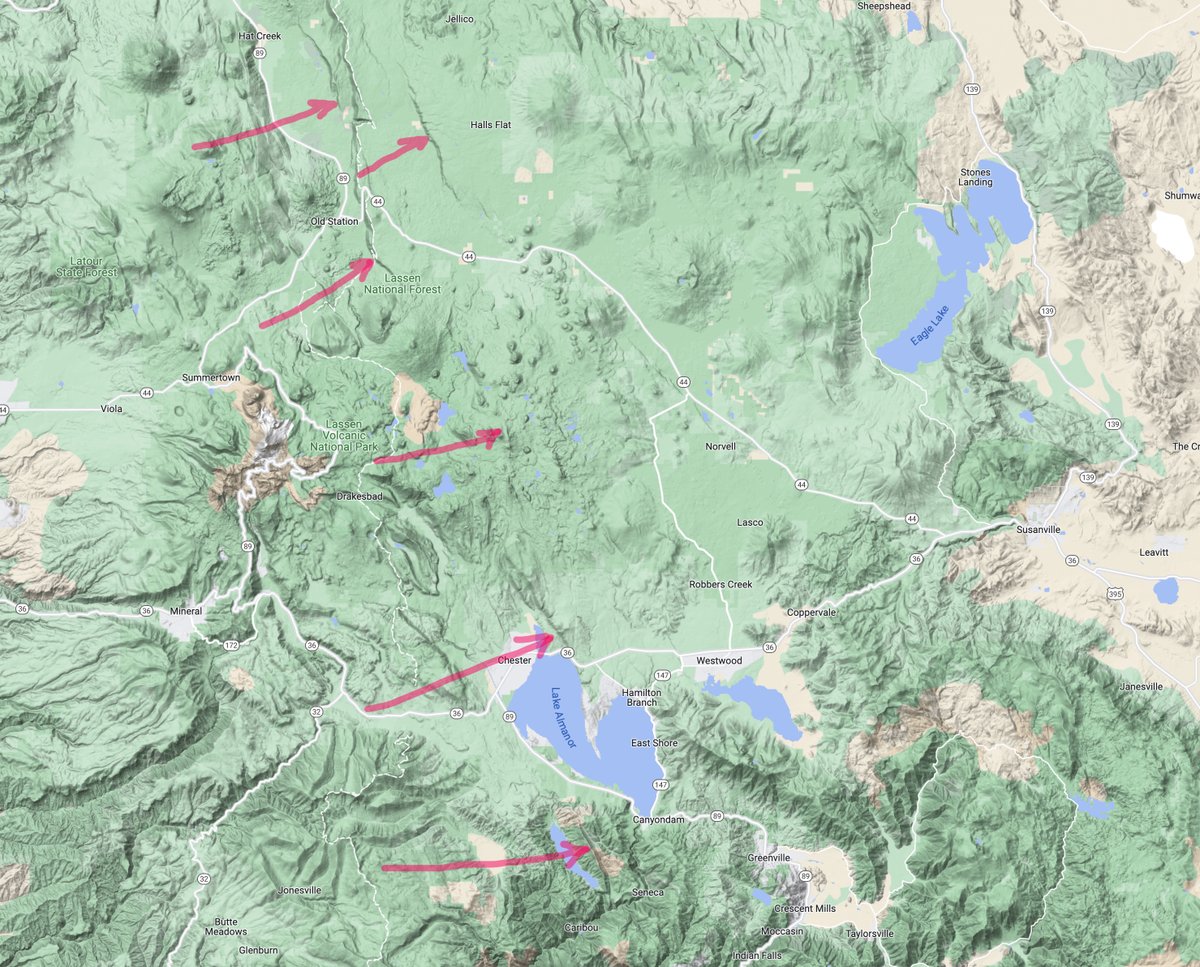 Zeke Lunder ~ The Lookout tweet media