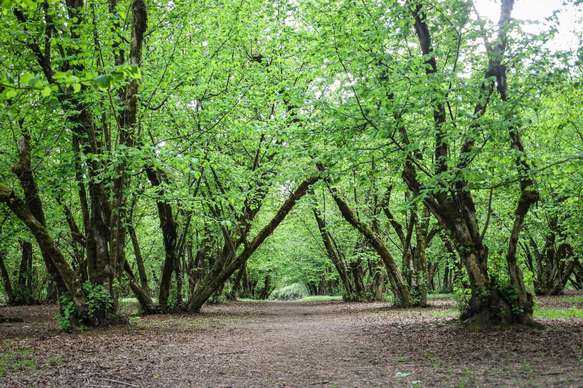Heads up!
• The orchards at Dorris Ranch will be closed May 15-19 for weed treatment.
• the pickleball courts at Meadow Park will be closed May 15-June 2 for court resurfacing.

Learn more at willamalane.org/alerts