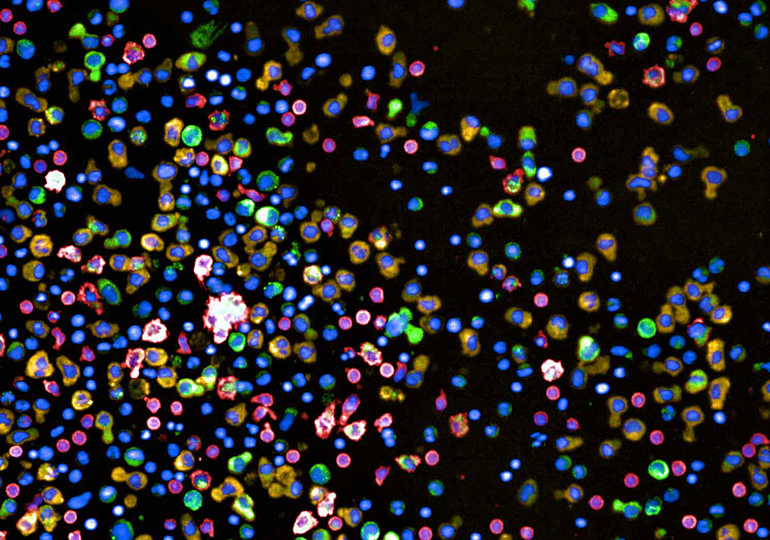 Eye Center tweet media