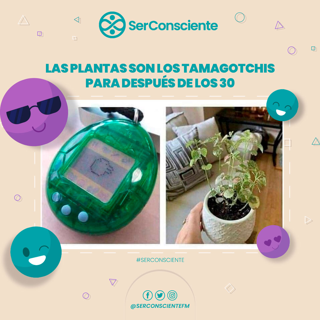 SerConscienteFM's tweet photo. 🪴😬 ¡Ahora somos las señoras de las plantas! 🪴😬

🤭🤭😮😮🤗🤗😅😅

#SerConsciente #HumorConsciente #FelizJueves https://t.co/LWEjIxVRV8