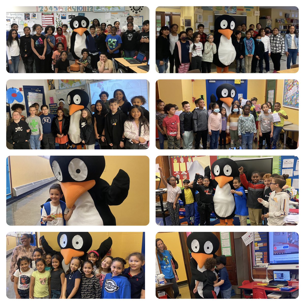 Lillian Feinstein Elementary at Sackett Street (@lfsackettsharks) on Twitter photo <a href="/STMath/">ST Math Educator? Follow us on MINDEduOrg!</a> thank you for stopping by JiJi. Our students were excited to share their successes with you! <a href="/pvdschools/">Providence Public Schools</a> <a href="/PPSDAcademics/">PPSD Academics</a> <a href="/STMath/">ST Math Educator? Follow us on MINDEduOrg!</a> thank you for stopping by JiJi. Our students were excited to share their successes with you! <a href="/pvdschools/">Providence Public Schools</a> <a href="/PPSDAcademics/">PPSD Academics</a>