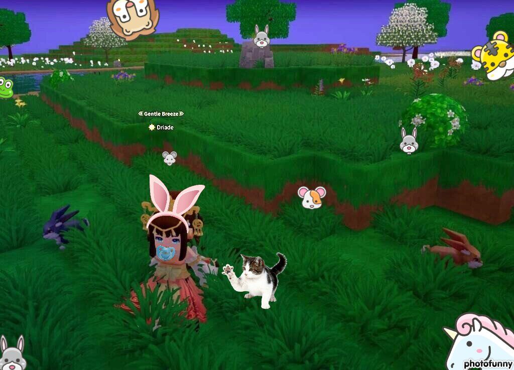 It's not a party till it goes wild hare, ya'll!
IUD 100457  #DragonAndHome #openbeta 
NA Server