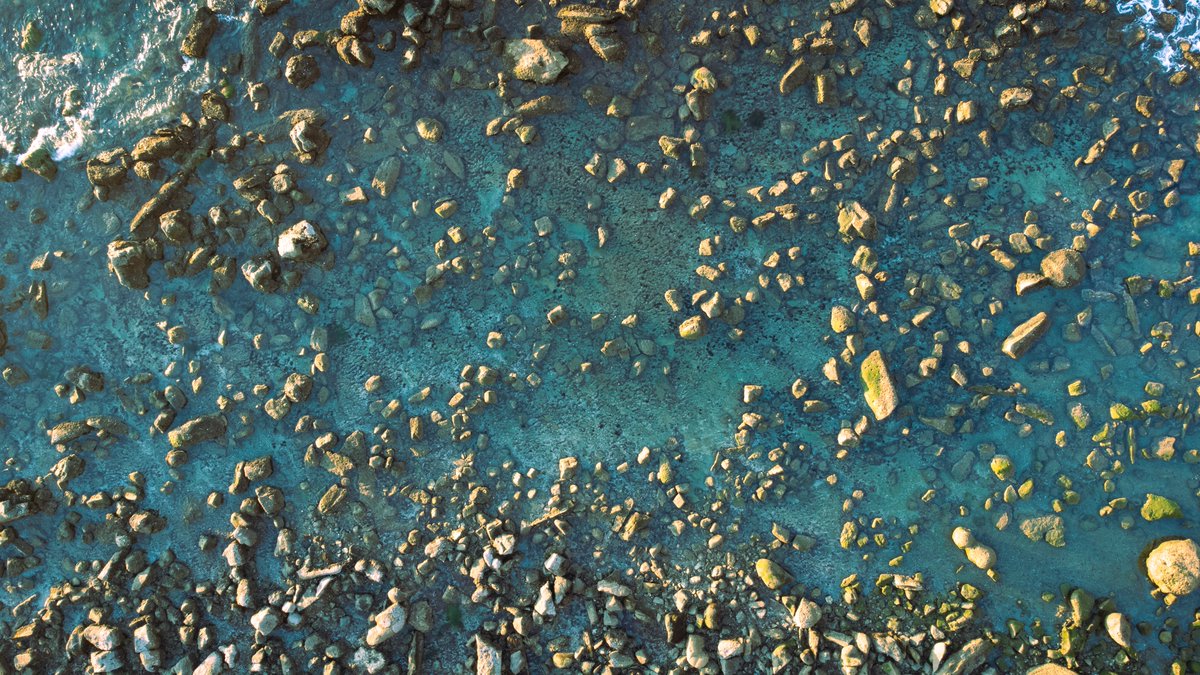 Shark's Cove

Now avaliable on <a href="/exchgART/">Exchange Art</a> 

In the heart of the sea lies the truth of the world, and in the eyes of a shark lies the wisdom of the deep.

Buy Now: ◎5

Link Below⬇️⬇️