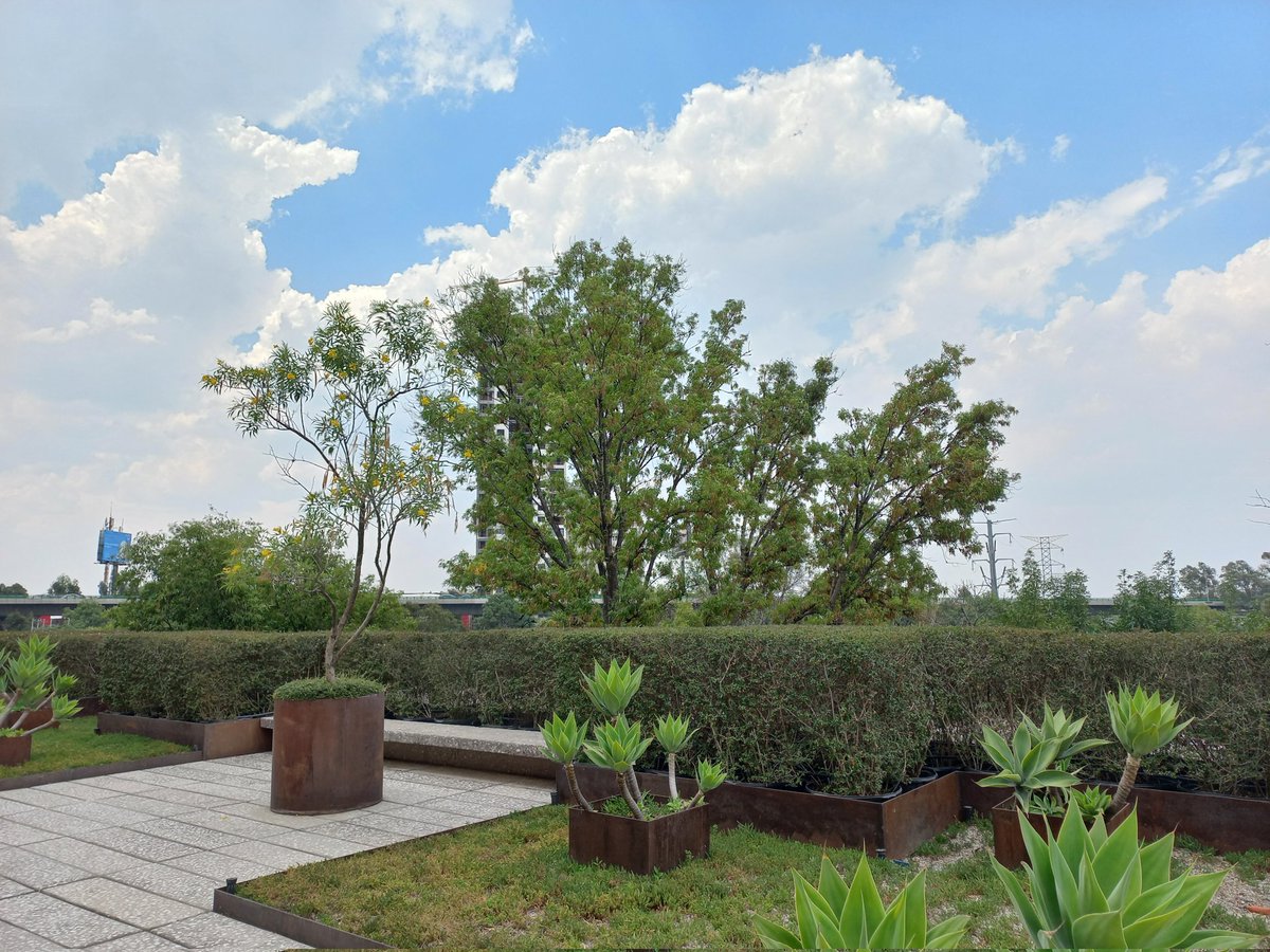 b_jars's tweet photo. Hoy ha sido un día muy verde ☁️ 
[[habitar el sur de la #cedemequis]] https://t.co/DQBuaMpuh0