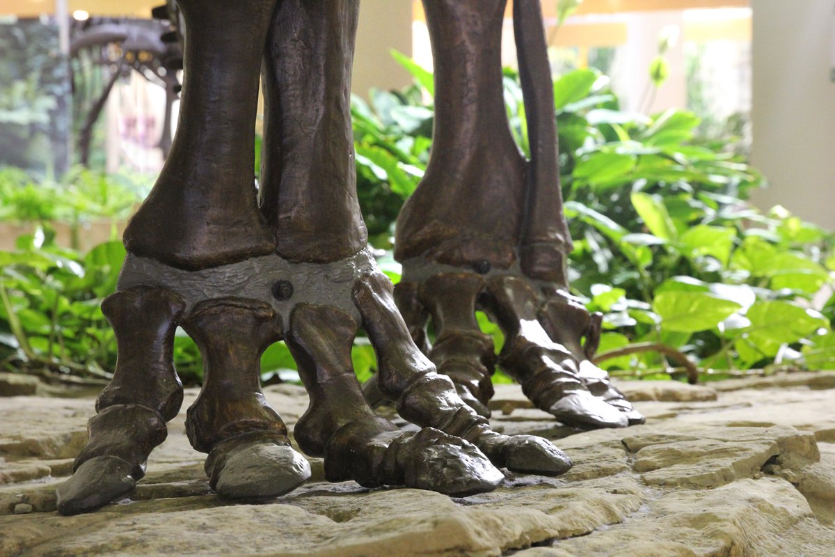 We're hiring summer camp counsellors! Come join the fun :) artsandscience.usask.ca/museumofnatura…