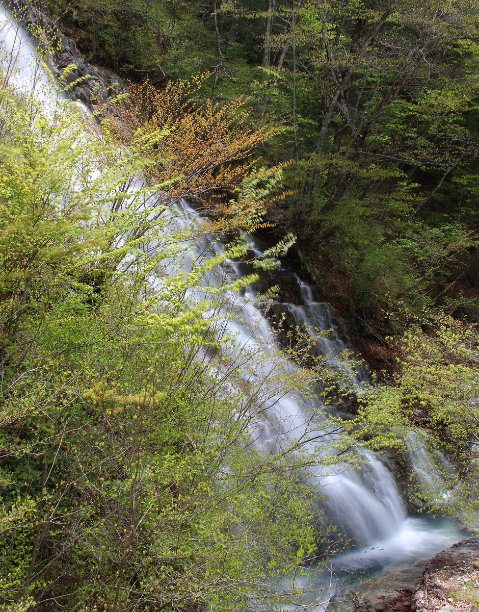 群馬県中之条町の「しゃくなげの滝」。
新緑に爽やかな滝音(⁠^⁠^⁠)
2023.4.23撮影。

#中之条町 #しゃくなげの滝 #スローシャッター #nakanojo_town #shakunagenotaki_falls #longexposure #japan