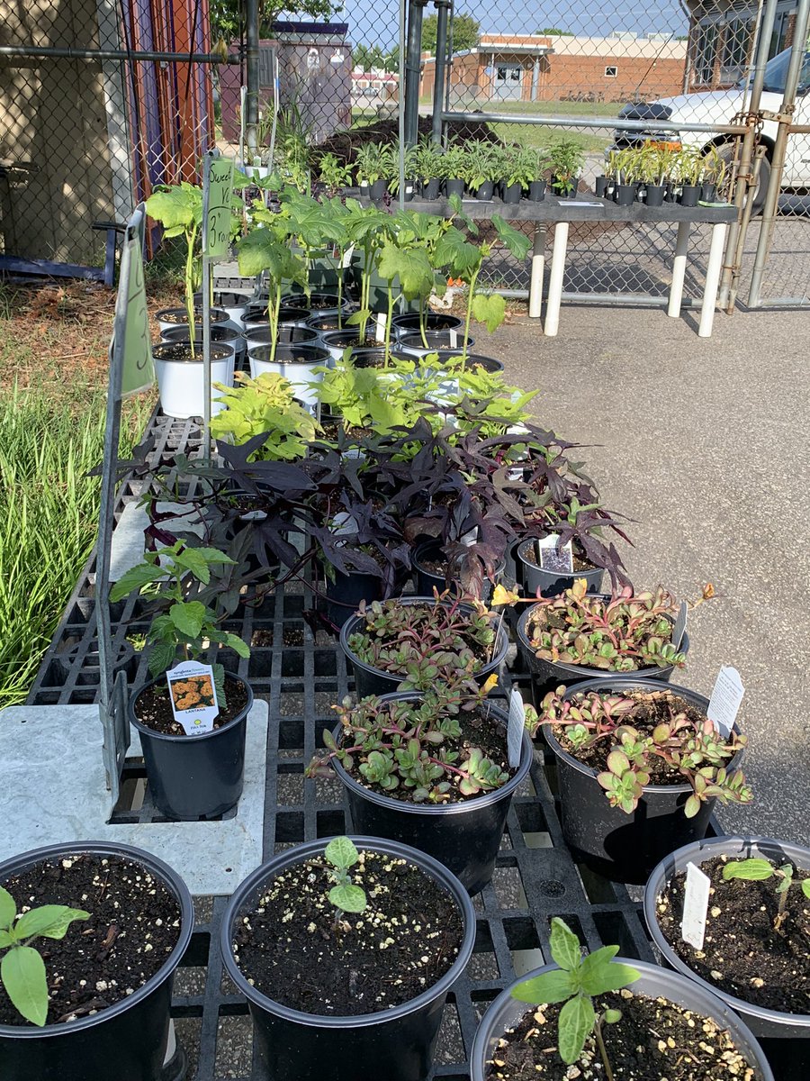 Last call shoppers!  We have just two days left of our Spring Plant Sale!!!!

Buy one get one free on all bedding &amp; house plants and herbs &amp; veggies.

Buy a basket/container and get another one 1/2 off!

Friday hours: 12:30-6:00 pm
Saturday hours: 9:00am-noon.  <a href="/M_villeHS/">Mechanicsville High School</a>